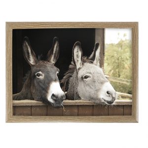 schootkussen-twee-ezels